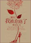 无双小村医张帆笔趣阁