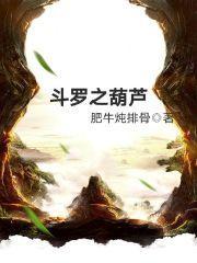 开局铠甲合体