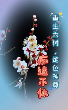 我们互为倒数 盛世爱