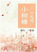 跗骨窦解剖图