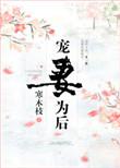新版破戒僧打法