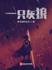 咸鱼美人又懒又娇晋江