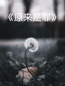 摘下星星给你什么歌