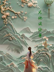 不良伪妻 盘