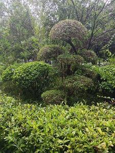 九零之嫁给煤老板丛琦免费阅读