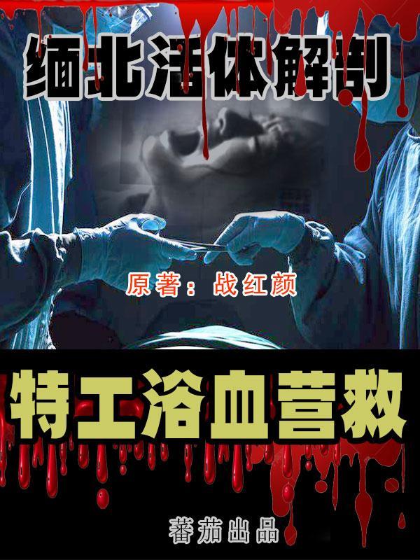 宋家丁香男主参军类似文