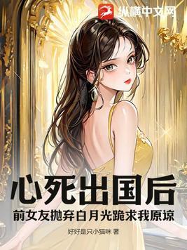 都市最强战医林枫叶倾城免费阅读