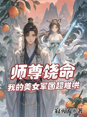 我是县委书记免费阅读