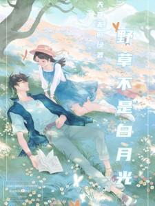 莺啼序吴文英