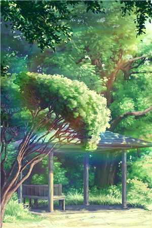 冬至节气的特点和风俗