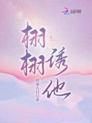 云归处表达什么意思