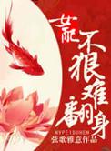 寂寞的繁华简谱